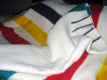 The Hudson's Bay Blanket. It is steeped in both history and prestige